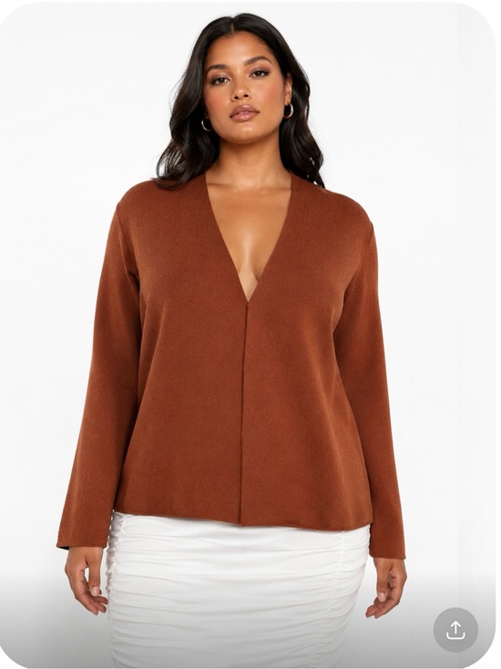 J. Jill Sweaters - J.JILL V-Neck Long Sleeve 100% Cotton Sweater in Rust Size Large